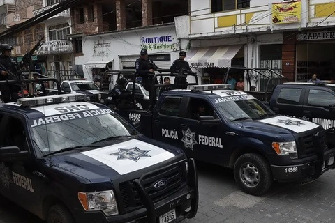 Mexico: Nghi phạm khai nhận 43 người mất tích đã bị sát hại