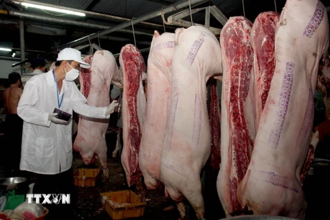 Kon Tum: Lò giết mổ gia súc tập trung giá "triệu USD" bị bỏ hoang