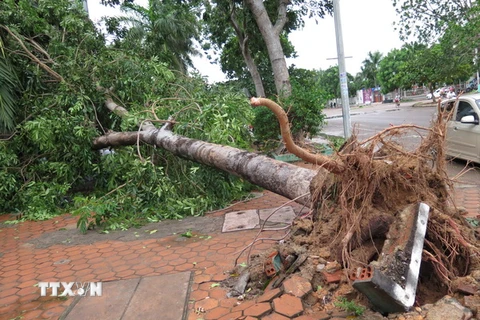 Có thể xuất hiện bão hoặc áp thấp trên Biển Đông trong tháng 12