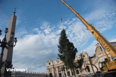 Tòa thánh Vatican: Trang hoàng lộng lẫy đón Giáng sinh 2014