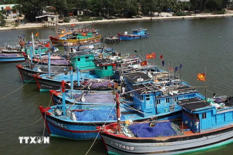 Tiền Giang: Điều tra vụ hỏa hoạn thiêu rụi 5 chiếc thuyền