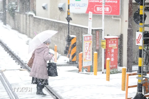 Tuyết rơi bất thường gây ảnh hưởng ở nhiều địa phương Nhật Bản