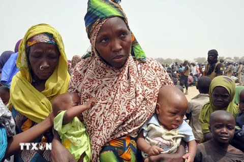 Boko Haram nã súng khiến ít nhất 24 người Nigeria thiệt mạng 
