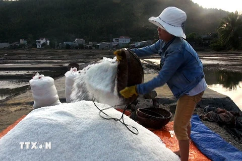 Diêm dân Sa Huỳnh lao đao vì giá muối " tăng đà tuột dốc"