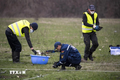 Hà Lan sẽ khởi tố những kẻ bắn hạ máy bay MH17 ở Ukraine