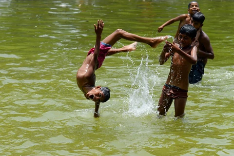 Hàng trăm người tử vong ở Ấn Độ do nắng nóng trên 40 độ C