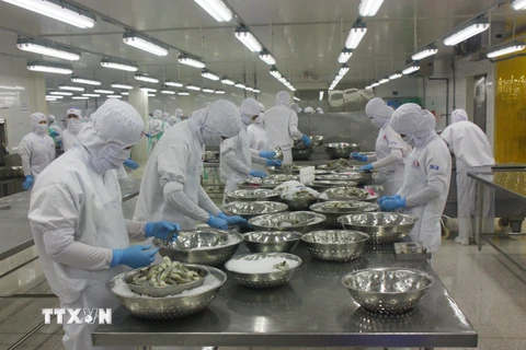Chế biến thủy sản xuất khẩu tại Công ty thủy sản Trung Sơn. (Ảnh: Bùi Như Trường Giang/TTXVN)
