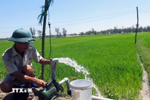 Bơm nước chống hạn cho cây lúa xã Tam Tiến, huyện Núi Thành, Quảng Nam. (Ảnh: Đỗ Trưởng/TTXVN)