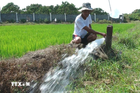 (Ảnh minh họa. Nguyên Lý/TTXVN)