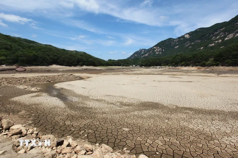 Hồ Sanjeong ở Pocheon, phía bắc thủ đô Seoul (Hàn Quốc) bị khô cạn. (Nguồn: Yonhap/TTXVN)