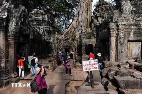 Du khách tham quan đền Ta Phrom, một phần của Angkor Wat. (Nguồn: AFP/TTXVN)