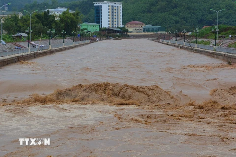 (Ảnh minh họa. Công Luật/TTXVN)