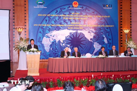 Phó Thủ tướng, Bộ trưởng Ngoại giao Phạm Bình Minh phát biểu tại Hội thảo năm APEC Việt Nam 2017: Hướng tới cộng đồng APEC năng động, tự cường và gắn kết. (Ảnh: Thống Nhất/TTXVN)