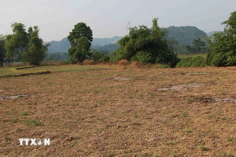 Hàng nghìn hécta đất nông nghiệp ở Hà Giang bị bỏ hoang vì không đủ nước để canh tác. (Ảnh: Đỗ Bình/TTXVN)