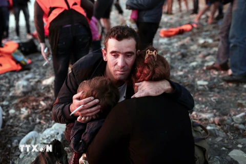 Người di cư cập bờ tại đảo Kos, Hy Lạp ngày 13/8. (Nguồn: AFP/TTXVN)