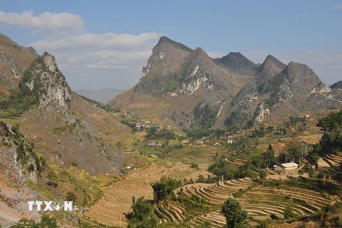 Một góc cao nguyên đá Đồng Văn. (Ảnh: Thanh Hà/TTXVN)