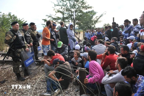 Cảnh sát Macedonia gác tại khu vực người di cư đợi để qua biên giới Hy Lạp-Macedonia gần thị trấn Idomeni, miền Bắc Hy Lạp ngày 21/8. (Nguồn: AFP/TTXVN)