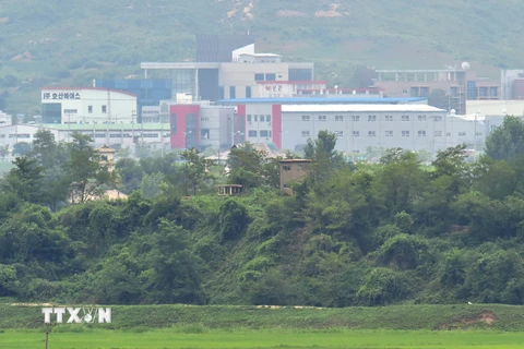 Làng đình chiến Panmunjom, Khu vực phi quân sự giữa hai miền Triều Tiên. (Nguồn: AFP/TTXVN)
