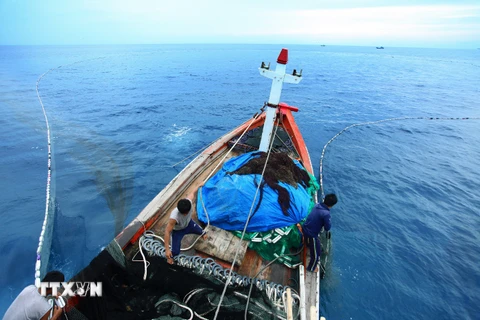 Ngư dân huyện Lý Sơn đánh bắt hải sản trên vùng biển tỉnh Quảng Ngãi. (Ảnh minh họa. Lâm Khánh/TTXVN)
