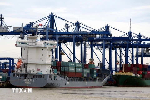 Xuất nhập khẩu hàng hóa tại cảng Cát Lái, Thành phố Hồ Chí Minh. (Ảnh minh họa. Hoàng Hải/TTXVN)