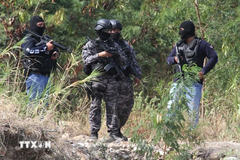 Cảnh sát đặc nhiệm Venezuela gác tại thành phố San Antonio, bang Tachira, giáp giới với Colombia ngày 28/8. (Nguồn: AFP/TTXVN)