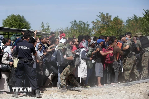 Người di cư xô xát với cảnh sát tại thị trấn Gevgelija ở biên giới Macedonia-Hy Lạp ngày 7/9. (Nguồn: AFP/TTXVN)