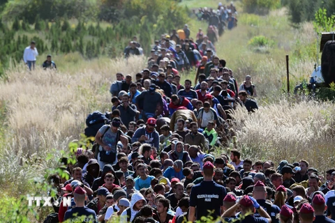  Người di cư tại khu vực biên giới Hungary-Croatia, gần làng Zakany của Hungary. (Nguồn: AFP/TTXVN)
