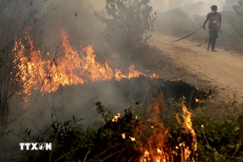 Binh sĩ Indonesia tham gia dập các đám cháy từng tại Ogan Ilir, tỉnh Nam Sumatra ngày 30/9. (Nguồn: Reuters/TTXVN)