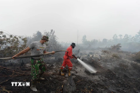 Nhân viên cứu hỏa nỗ lực khống chế các đám cháy rừng ở Rimbo Panjang, tỉnh Riau, Indonesia. (Nguồn: AFP/TTXVN)