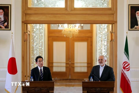 Ngoại trưởng Iran Mohammad Javad Zarif (phải) và Ngoại trưởng Nhật Bản Fumio Kishida (trái) tại cuộc họp báo sau hội đàm. (Nguồn: AFP/TTXVN)