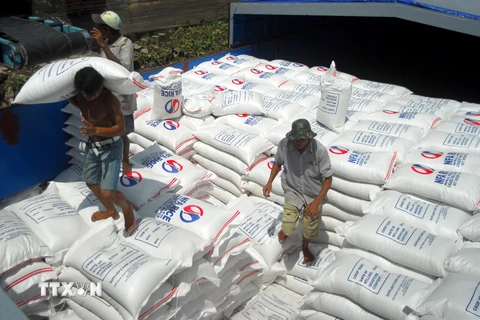  Công ty Gentraco chuyển gạo xuống tàu xuất khẩu gạo. (Ảnh: Thanh Vũ/TTXVN)