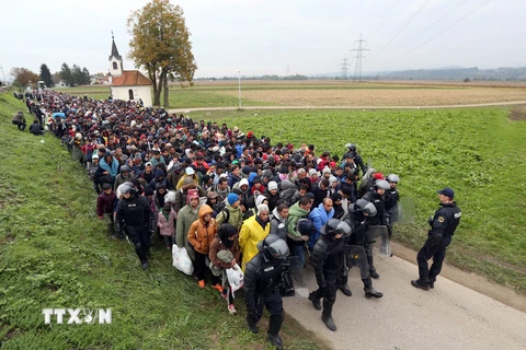 Cảnh sát Slovenia áp giải khoảng 1000 người di cư từ khu vực biên giới với Croatia tới Dobova (Slovenia) ngày 22/10. (Nguồn: AFP/TTXVN)