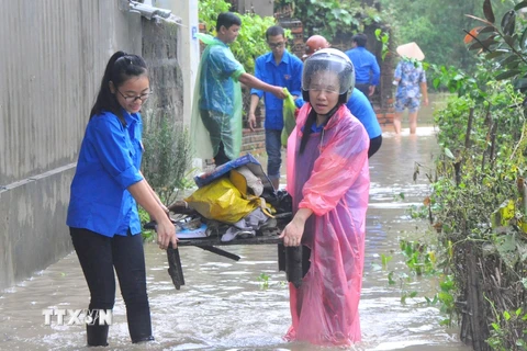 Đoàn thanh niên giúp dân dọn dẹp đồ đạc sau bão tại Quảng Ninh. (Ảnh minh họa. Nguyễn Hoàng/TTXVN)