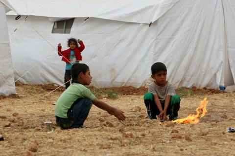 Các cậu bé ở Aleppo. (Nguồn: AFP)