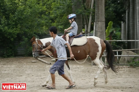 Câu lạc bộ ngựa Hà Nội, nơi diễn ra các buổi trị liệu dành cho trẻ khuyết tật và trẻ mắc chứng tự kỷ bằng phương pháp cưỡi ngựa. (Ảnh: Công Đạt)