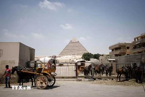 Xe ngựa đợi khách du lịch bên ngoài khu du lịch có Tượng nhân sư và Kim tự tháp ở Cairo. (Nguồn: AFP/TTXVN)