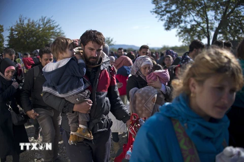 Người di cư và tị nạn xếp hàng đăng ký vào trại tị nạn ở Gevgelija sau khi vượt qua biên giới Hy Lạp-Macedona ngày 1/11. (Nguồn: AFP/TTXVN)
