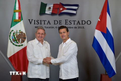 Chủ tịch Cuba Raul Castro (trái) có cuộc hội đàm với Tổng thống Mexico Enrique Pena Nieto (phải). (Nguồn: THX/TTXVN)