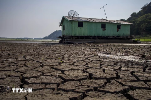 Hồ Aleixo ở Manaus, Amazonas, Brazil nứt nẻ do hạn hán. (Nguồn: AFP/TTXVN)