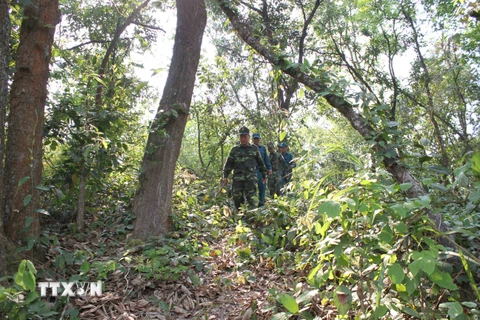 Một buổi tuần tra biên giới của các chiến sỹ Đồn Biên phòng Mường Lạn (Sơn La) tiếp giáp với huyện Mường Ét, tỉnh Hủa Phăn (Lào). (Ảnh: Lê Hữu Quyết/TTXVN)