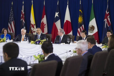 Chủ tịch nước Trương Tấn Sang (thứ hai, từ phải sang, phía xa) và lãnh đạo 11 quốc gia tham gia Hiệp định TPP tại phiên họp bên lề APEC. (Nguồn: AFP/TTXVN)