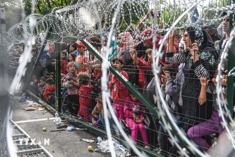 Người di cư và tị nạn tại khu vực hàng rào biên giới giữa Hungary và Serbia. (Nguồn: AFP/TTXVN)