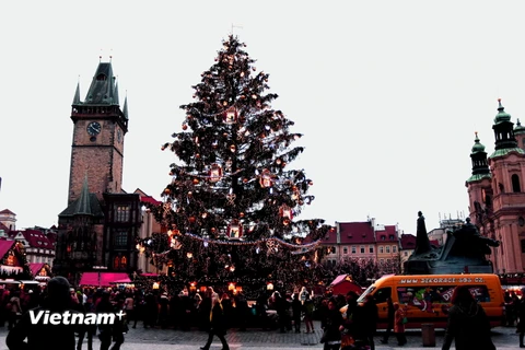 “Hoa hậu thông Giáng sinh” năm nay ở quảng trường Staromestske, Prague. (Ảnh: Trần Quang Vinh/Vietnam+)