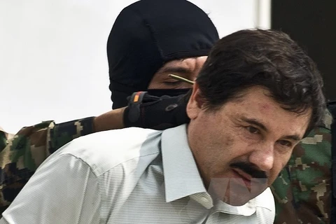 Ông trùm El Chapo. (Nguồn: AFP/TTXVN)
