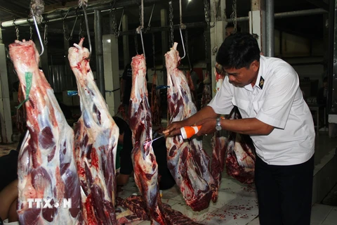 Kiểm tra an toàn vệ sinh thực phẩm tại một cơ sở giết mổ gia súc ở ấp Suối Cao A, xã Thạnh Đức, huyện Gò Dầu, Tây Ninh. (Ảnh: Lê Đức Hoảnh/TTXVN)