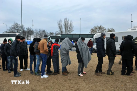 Dòng người di cư và tị nạn nhận lương thực, thực phẩm trong khi chờ đợi được qua cửa khẩu Hy Lạp-Macedonia, gần Idomeni (Hy Lạp) ngày 20/1. (Nguồn: AFP/TTXVN)