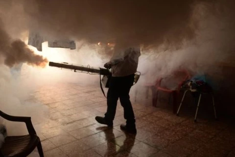 Nhân viên phun thuốc muỗi. (Nguồn: AFP)