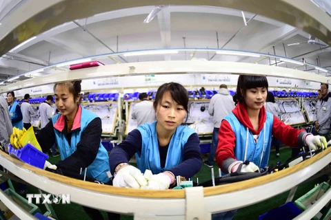Công nhân làm việc tại nhà máy ở Rushan, tỉnh Sơn Đông, miền Đông Trung Quốc ngày 12/11/2015. (Nguồn: THX/TTXVN)