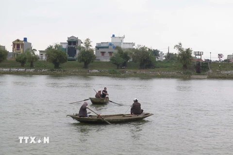 (Ảnh minh họa. Xuân Tiến/TTXVN)