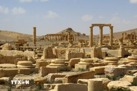 Thành cổ Palmyra. (Nguồn: AFP/TTXVN)